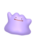 Ditto
