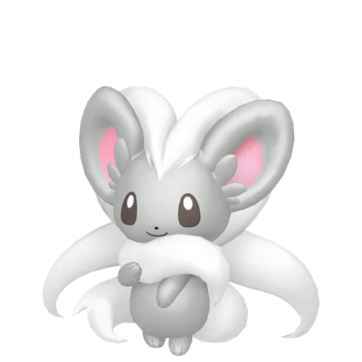 Cinccino