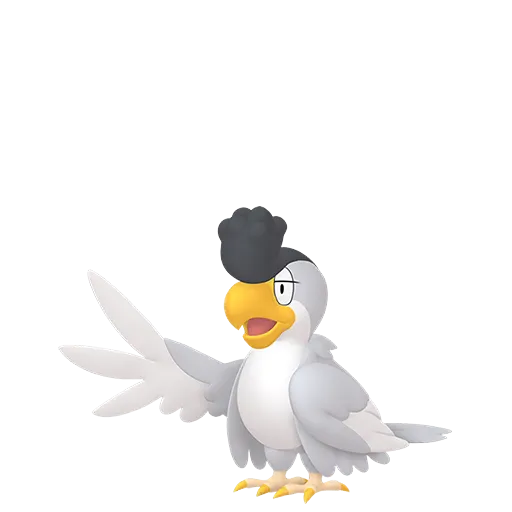 Squawkabilly-White