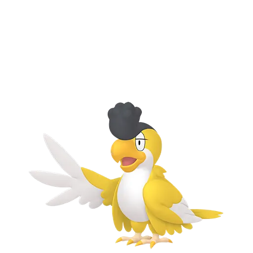 Squawkabilly-Yellow