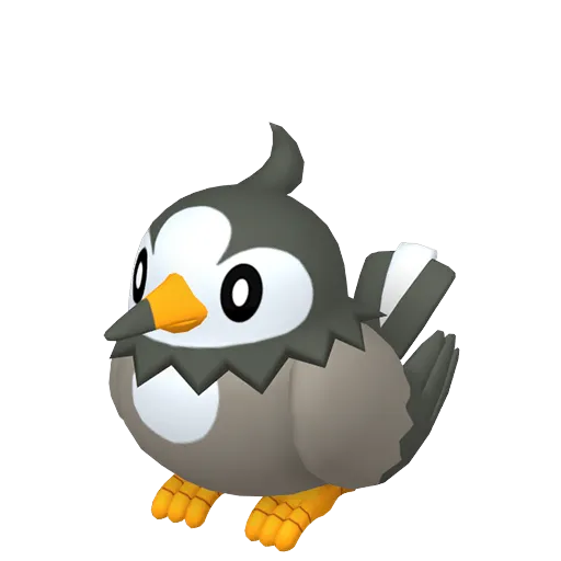 Starly
