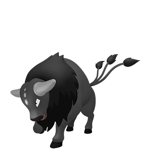 Tauros-Paldea Combat