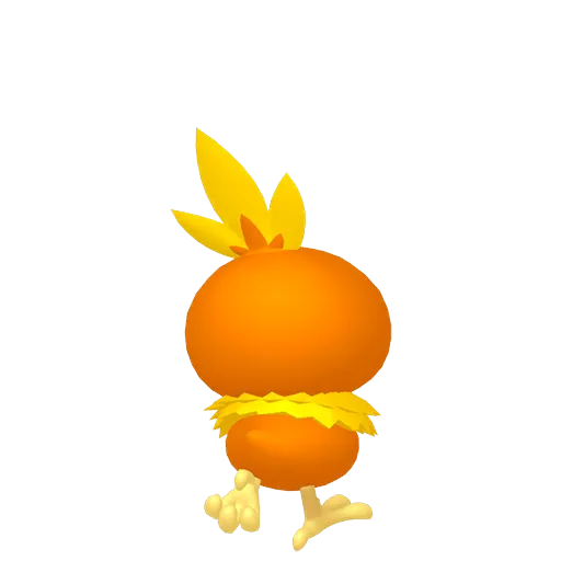 Torchic