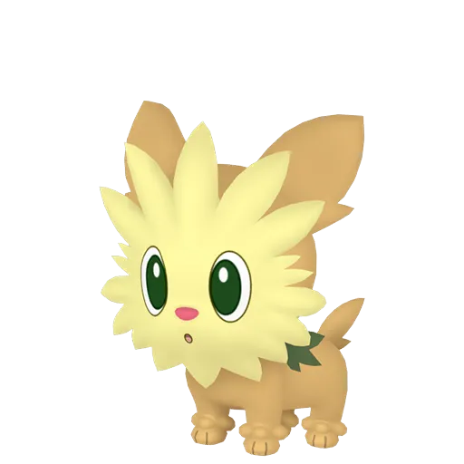 Lillipup