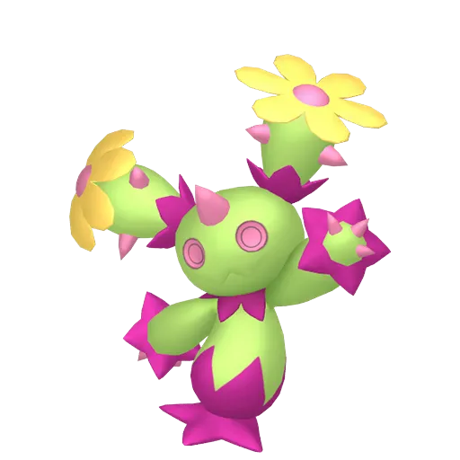 Maractus