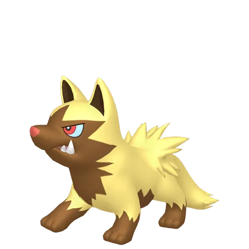 Shiny Poochyena