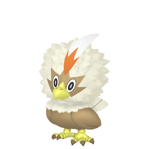 Shiny Rufflet